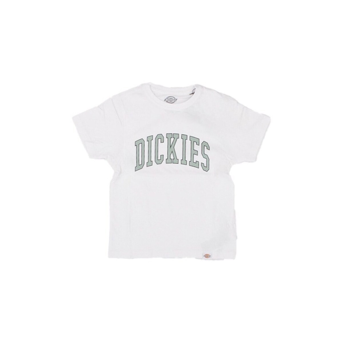 Dickies  DK0A4Z8O  Bílá
