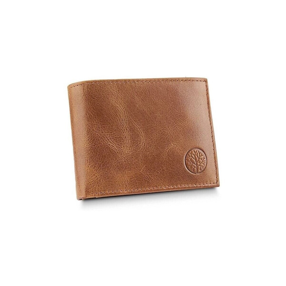 Betlewski  BPMBB61  Hnědá