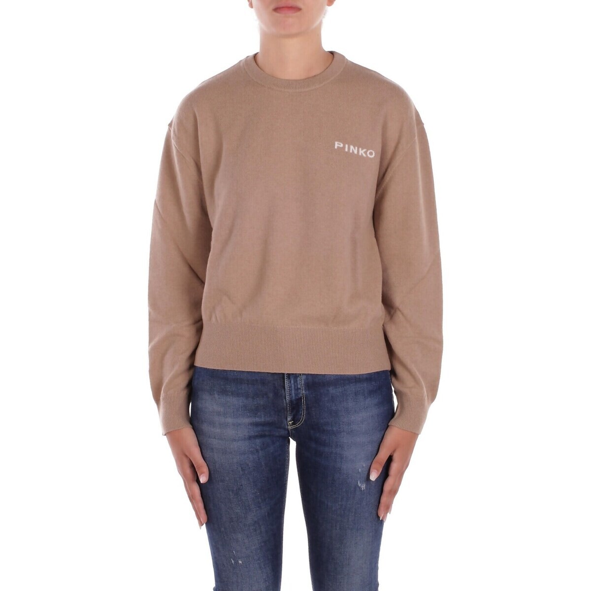 Pinko  105561 A2SI  Hnědá