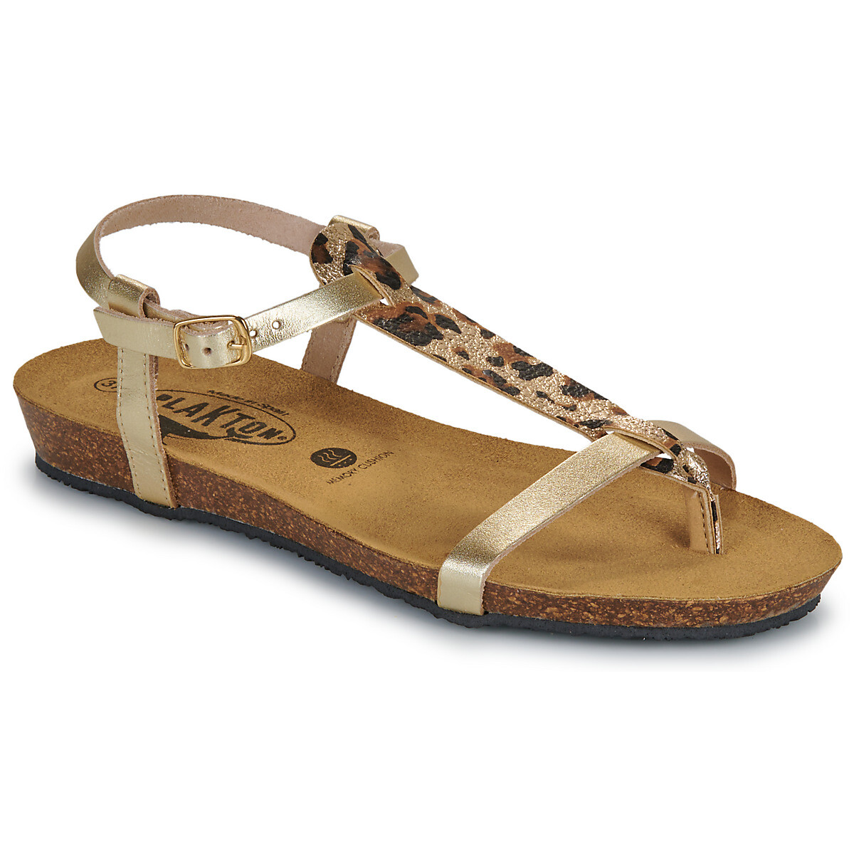 Plakton  FRAN ZOUK  Zlatá