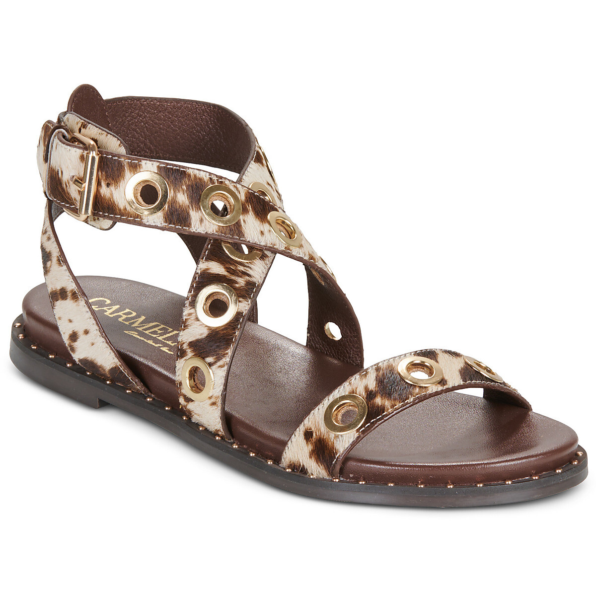 Carmela  162389  Hnědá