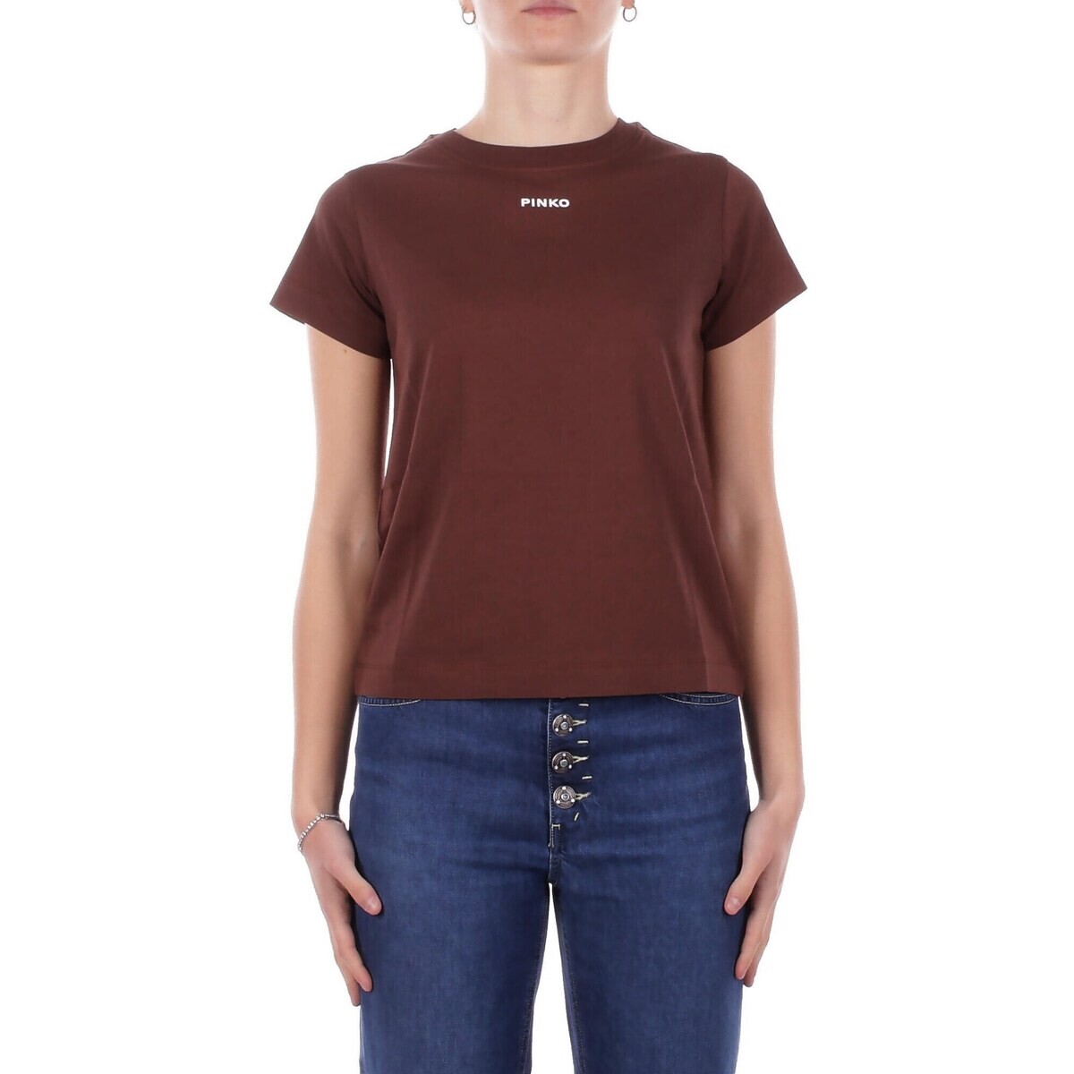 Pinko  100373A34F  Hnědá