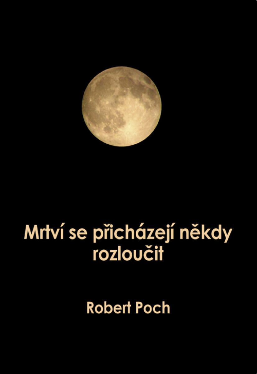 Mrtví se přicházejí někdy rozloučit - Robert Poch