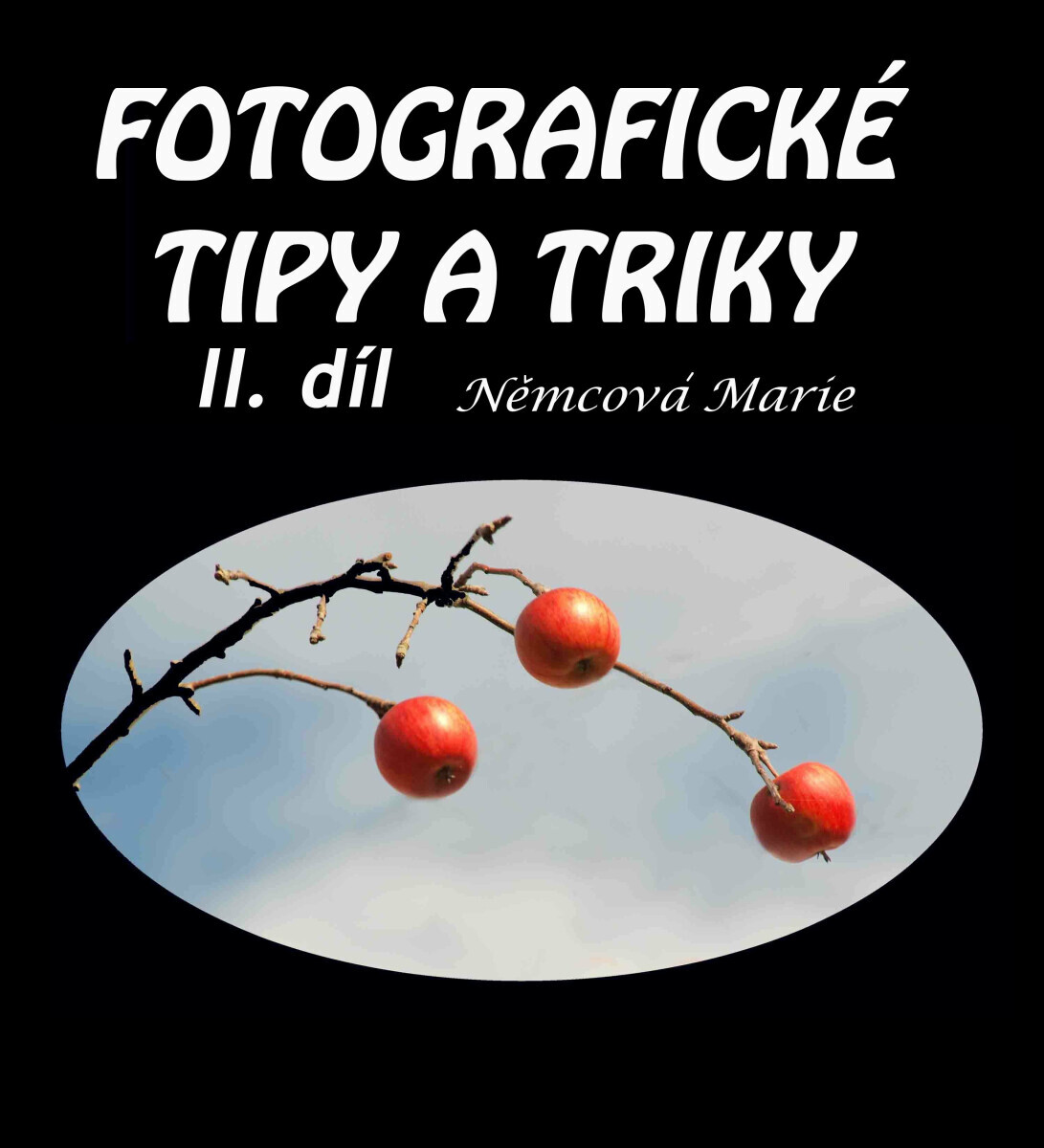 Fotografické tipy a triky II. díl - Marie Němcová