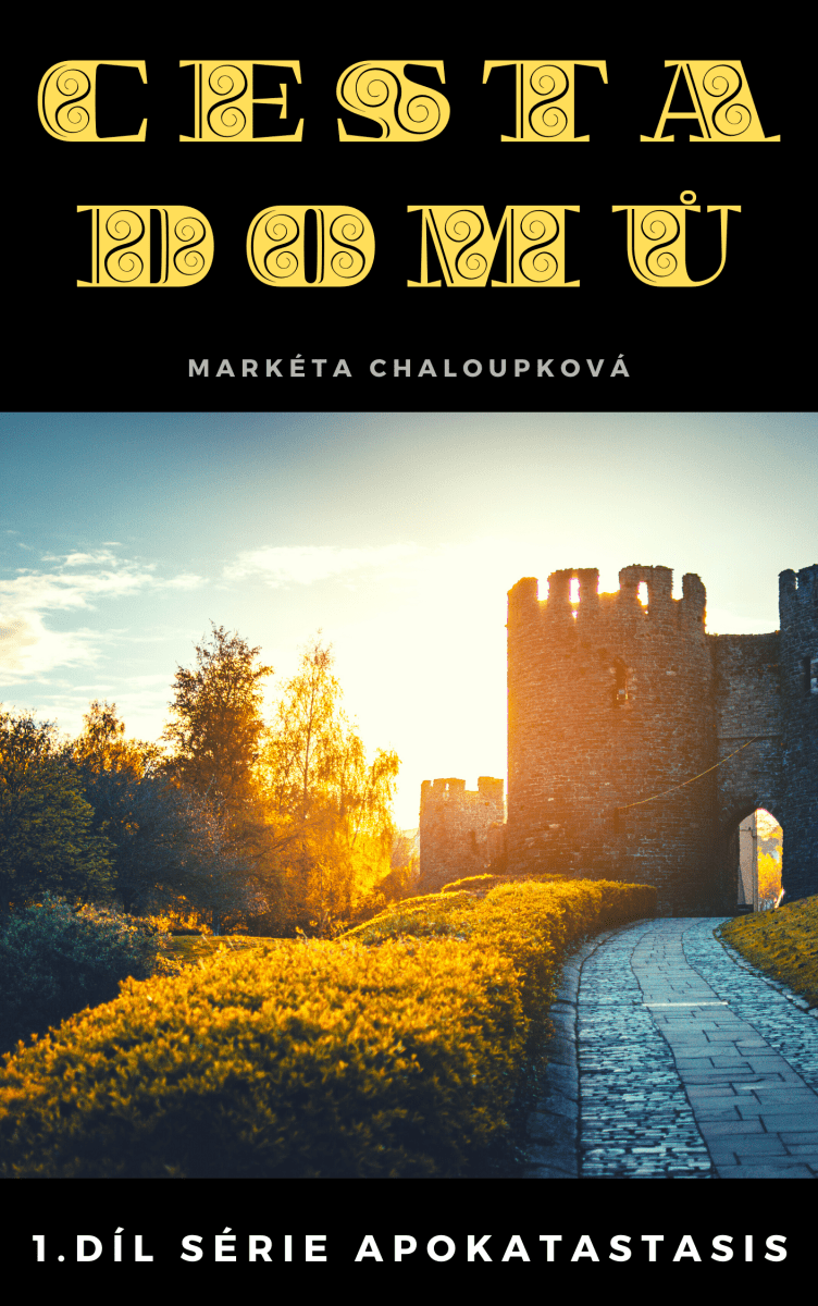 Cesta domů - Markéta Chaloupková