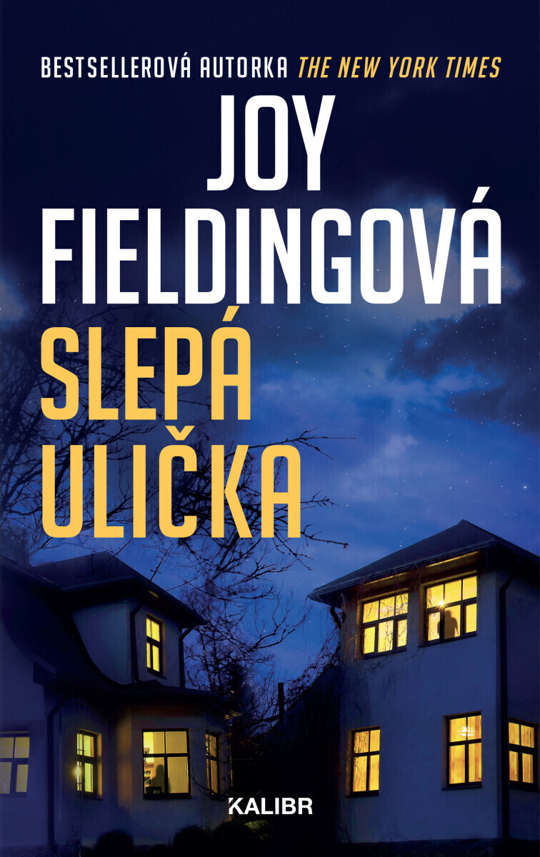 Slepá ulička - Joy Fieldingová