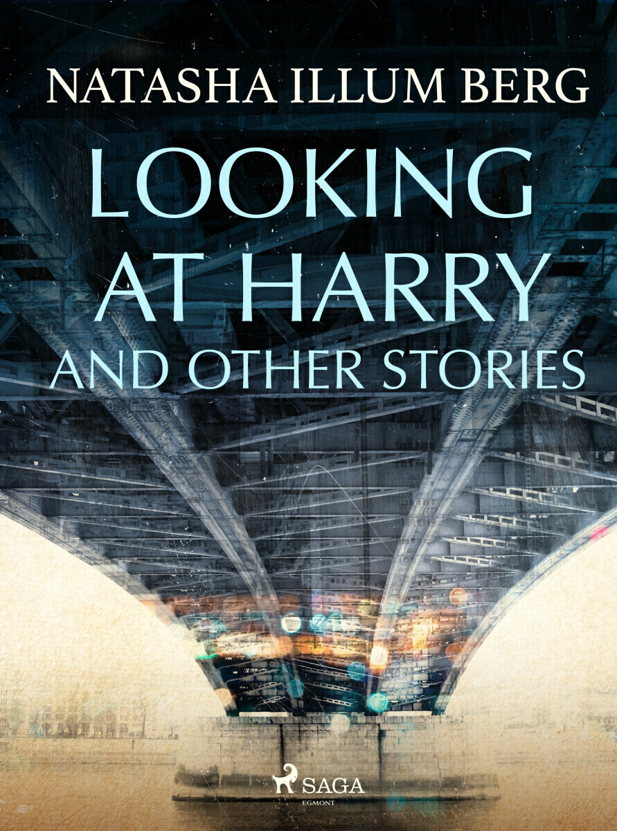 Looking at Harry and Other Stories - Illum Natasha Berg