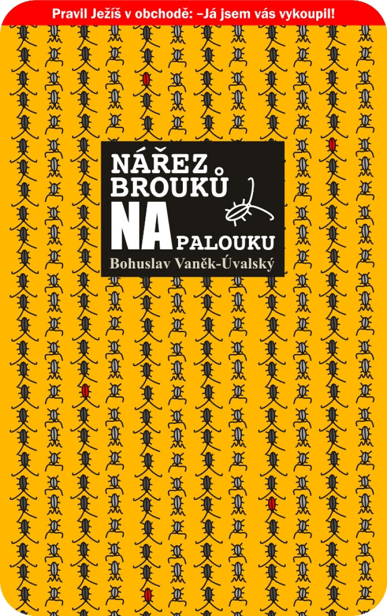 Nářez brouků na palouku - Bohuslav Vaněk-Úvalský