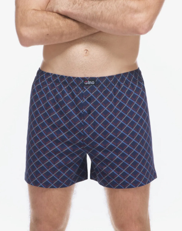 Pánské trenky Gino vícebarevné (75218-DCMMxG) L, trenýrky