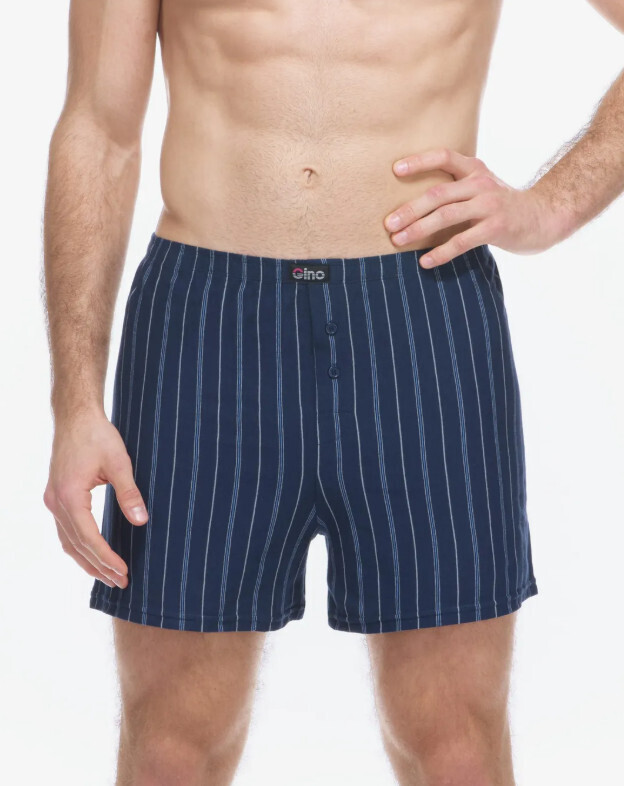 Pánské trenky Gino vícebarevné (75209-DCMDBM) L, trenýrky