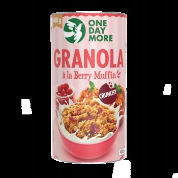 6x 400g One Day More granola s příchutí borůvkového muffinu Karton