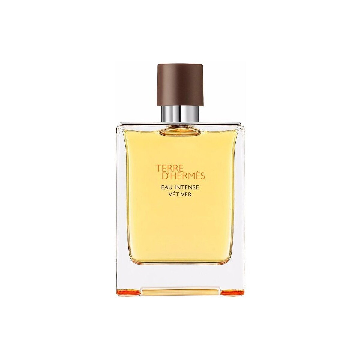 Hermès Paris  Terre  Eau Intense Vetiver - Parfém - 200ml  ruznobarevne