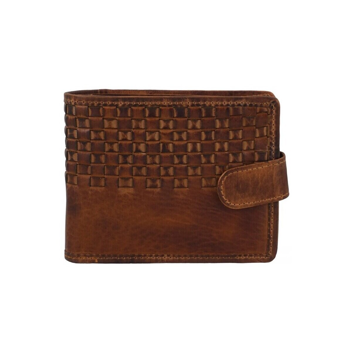 Barberini's  br29220  Hnědá