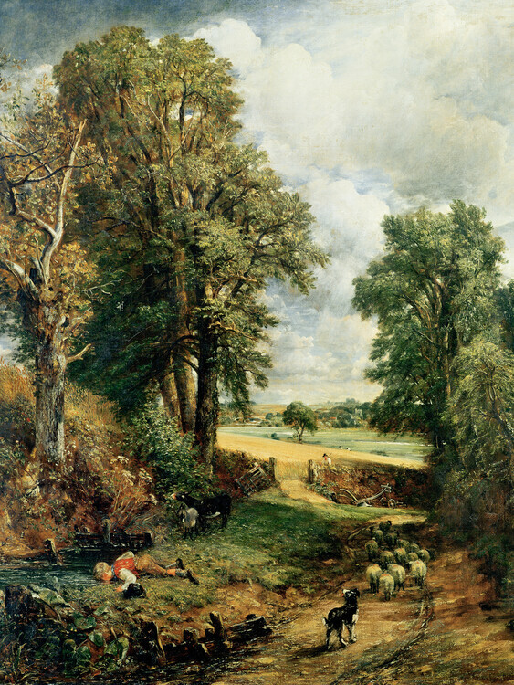John Constable Plakát, Obraz - The Cornfield (1826), John Constable, 30 × 40 cm