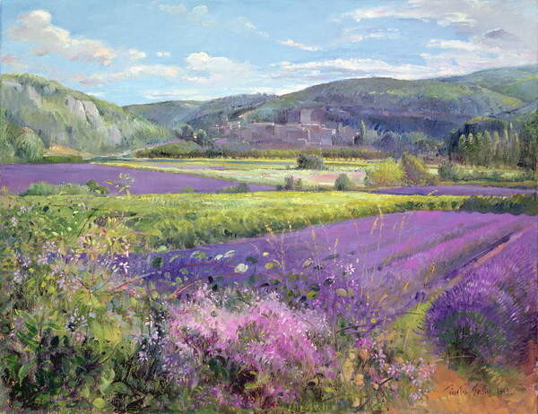 Timothy Easton Plakát, Obraz - Lavender Fields in Old Provence, Timothy Easton, 40 × 30 cm
