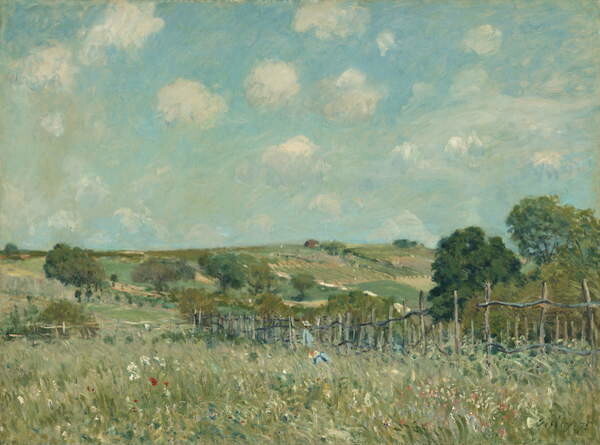 Alfred Sisley Plakát, Obraz - Meadow, 1875, Alfred Sisley, 40 × 30 cm