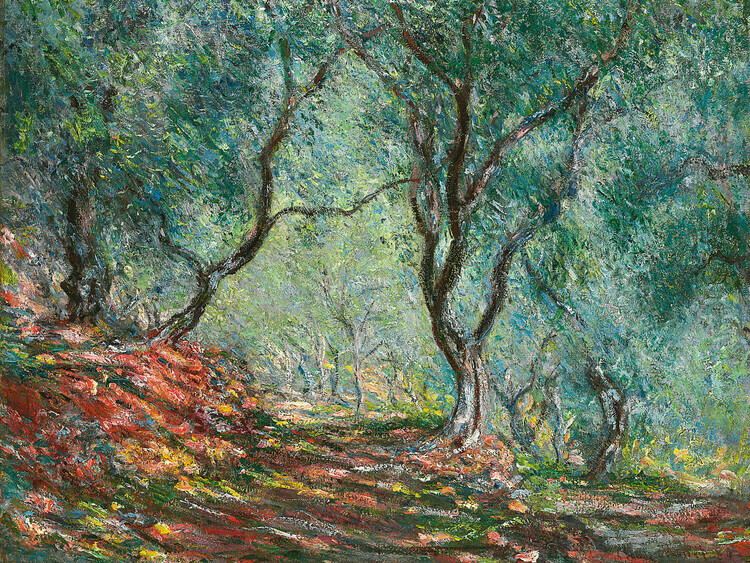 Claude Monet Plakát, Obraz - Olive Trees in the Moreno Garden (1884), Claude Monet, 40 × 30 cm