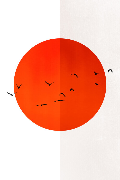 Kubistika Plakát, Obraz - 13 Seagulls In The Sun, Kubistika, 26.7 × 40 cm