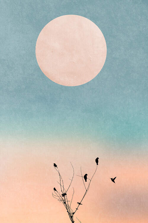 Kubistika Plakát, Obraz - Waking Up Warm, Kubistika, 26.7 × 40 cm