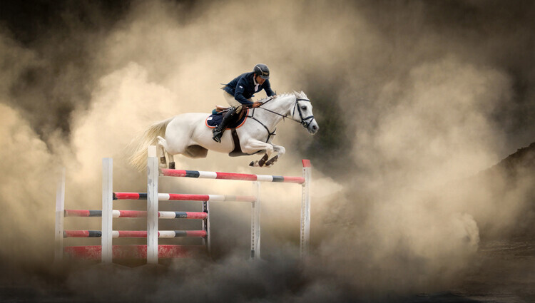 Arif Unsal Plakát, Obraz - White horse, Arif Unsal, 40 × 22.2 cm