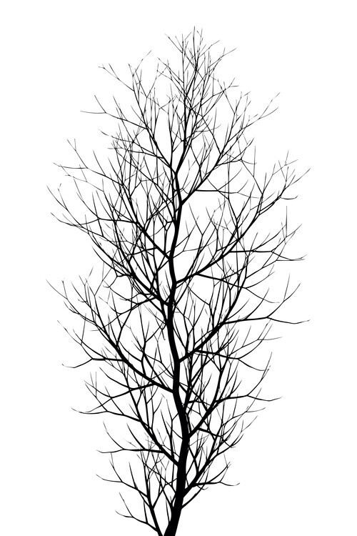 Kubistika Plakát, Obraz - The Tree BLACK, Kubistika, 26.7 × 40 cm