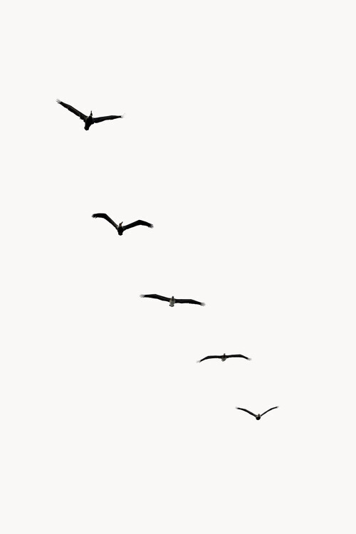 Kubistika Plakát, Obraz - Heavenly Creatures, Kubistika, 26.7 × 40 cm