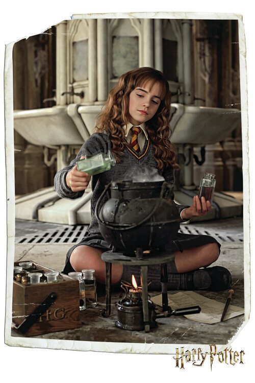 Europosters Plakát, Obraz - Harry Potter - Hermione Granger, 26.7 × 40 cm