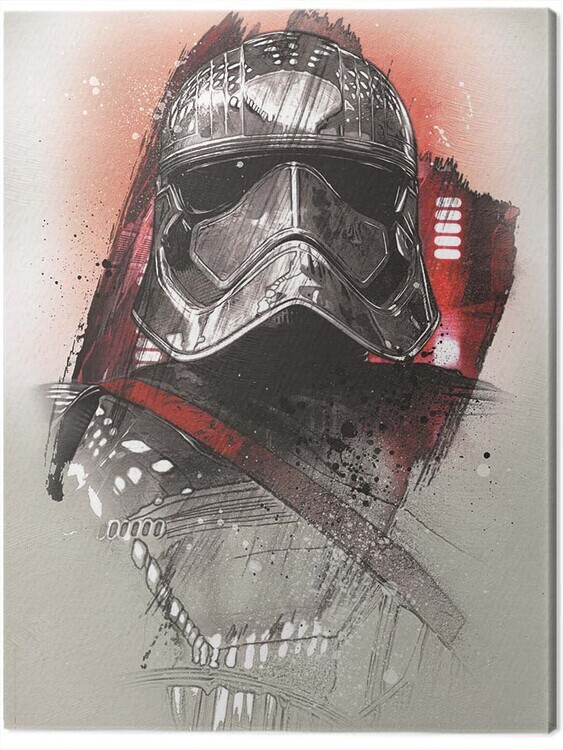 PYRAMID Obraz na plátně Star Wars The Last Jedi - Captain Phasma Brushstroke, 2 - 60×80 cm
