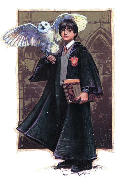 Europosters Plakát, Obraz - Harry Potter with Hedvig - Art, 26.7 × 40 cm
