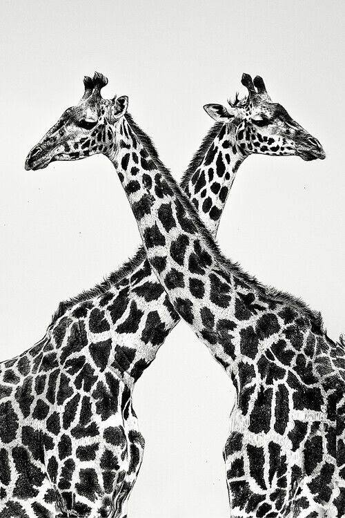 Xavier Ortega Plakát, Obraz - Two towers, Xavier Ortega, 26.7 × 40 cm