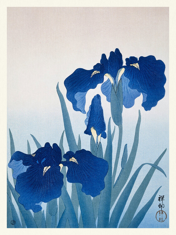 Ohara Koson Plakát, Obraz - Blue Iris Flowers, Ohara Koson, 30 × 40 cm