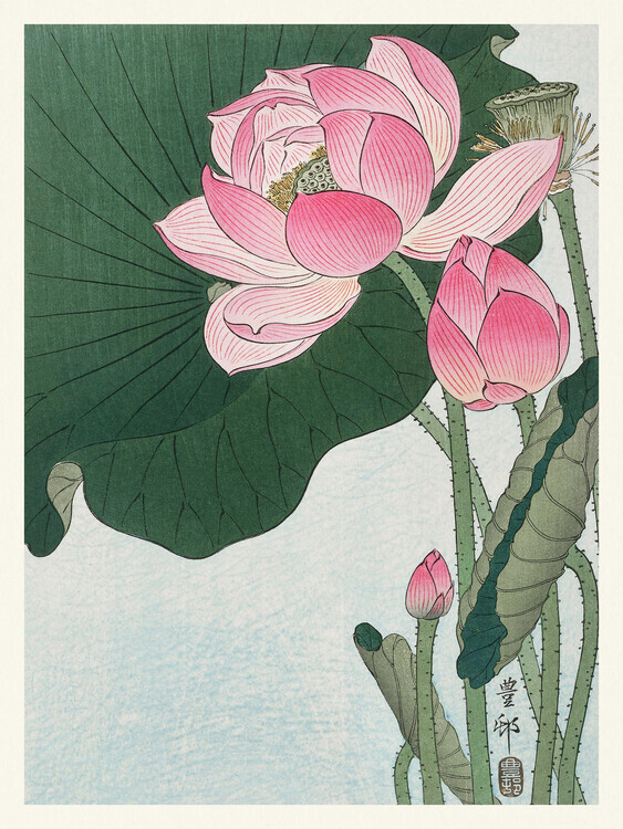 Ohara Koson Plakát, Obraz - Blooming Lotus, Ohara Koson, 30 × 40 cm