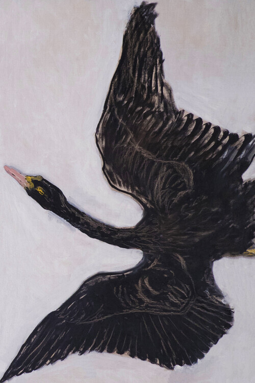 Hilma af Klint Plakát, Obraz - The Black Swan (2 of 2), Hilma af Klint, 26.7 × 40 cm