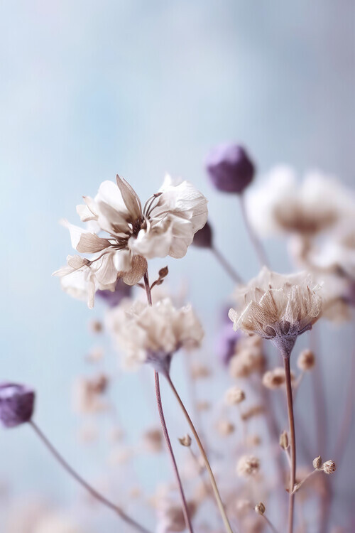 Treechild Plakát, Obraz - Pastel Dry Flowers No 4, Treechild, 26.7 × 40 cm