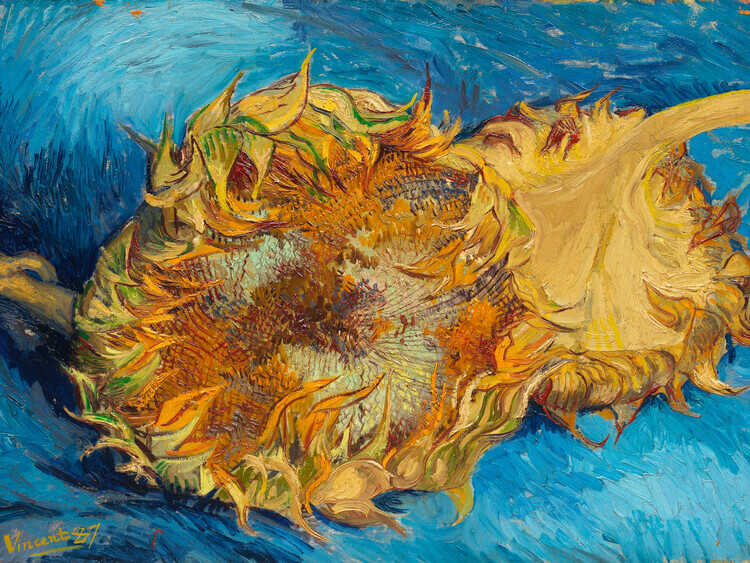 Vincent van Gogh Plakát, Obraz - Sunflowers, Vincent van Gogh, 40 × 30 cm