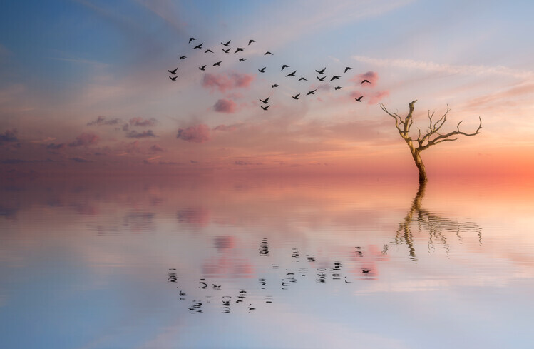 Dorian Gray Plakát, Obraz - S.T. 006, Dorian Gray, 40 × 26.7 cm