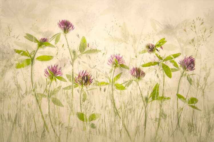 Nel Talen Plakát, Obraz - Old luky, Nel Talen, 40 × 26.7 cm