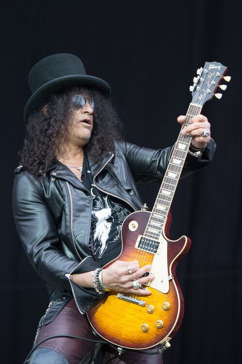 Ollie Millington Plakát, Obraz - Guns n Roses, 26.7 × 40 cm