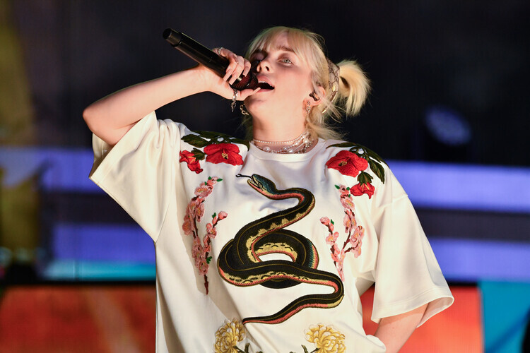 NDZ/Star Max Plakát, Obraz - Billie Eilish, 40 × 26.7 cm