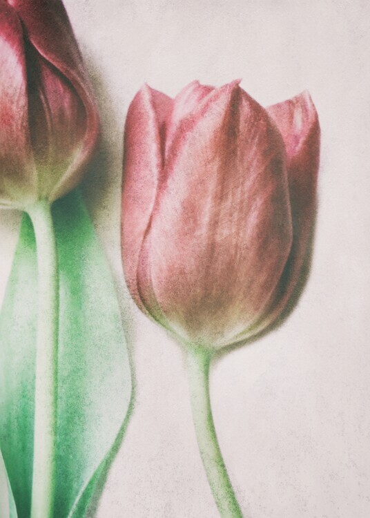 Delphine Devos Plakát, Obraz - The Spring Lovers, Delphine Devos, 30 × 40 cm