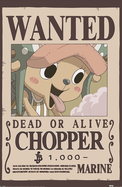 PYRAMID Plakát, Obraz - One Piece - Wanted Chopper, 61 × 91.5 cm