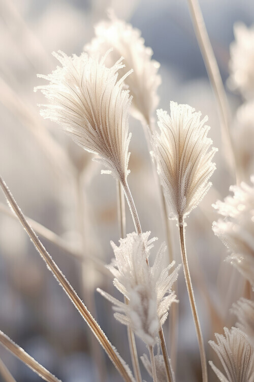 Treechild Plakát, Obraz - Frosted Elegance, Treechild, 26.7 × 40 cm