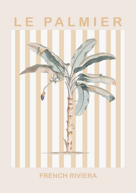 Talitha McQueen Plakát, Obraz - Riviera Plam Tree, Talitha McQueen, 30 × 40 cm