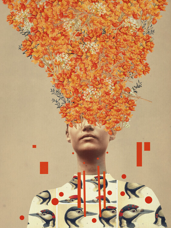 Frank Moth Plakát, Obraz - Bird Flight In Autumn, Frank Moth, 30 × 40 cm