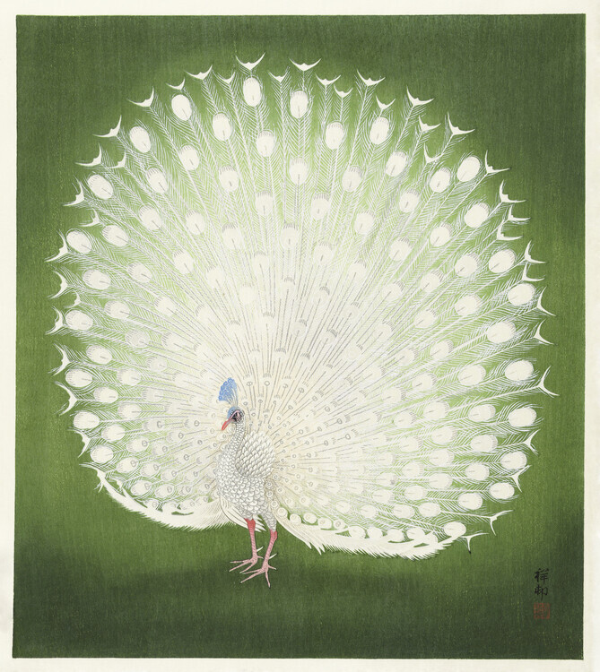 Ohara Koson Plakát, Obraz - Peacock, Ohara Koson, 35.7 × 40 cm