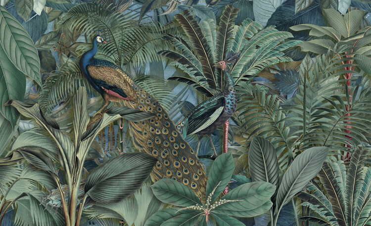Andrea Haase Plakát, Obraz - Jungle Birds Garden No2, Andrea Haase, 40 × 24.4 cm