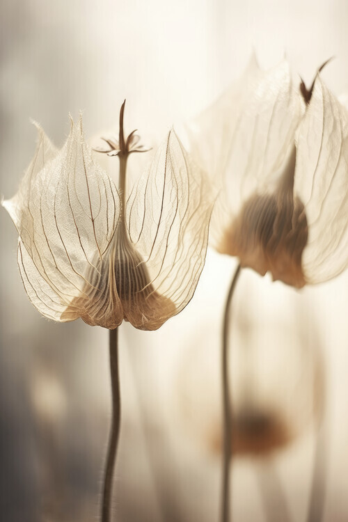 Treechild Plakát, Obraz - Whispering Petals, Treechild, 26.7 × 40 cm