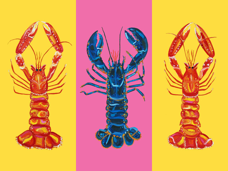 Alice Straker Plakát, Obraz - Lobster Langoustines Pop Art 2, Alice Straker, 40 × 30 cm