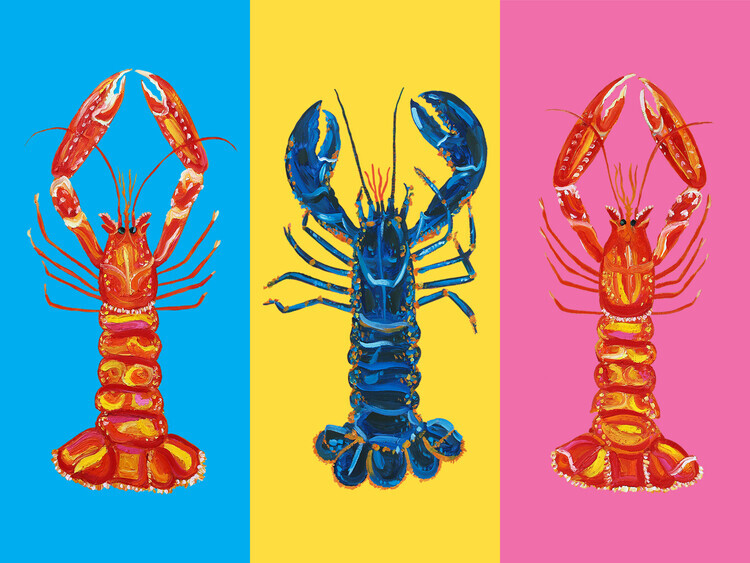 Alice Straker Plakát, Obraz - Lobster Langoustines Pop Art, Alice Straker, 40 × 30 cm