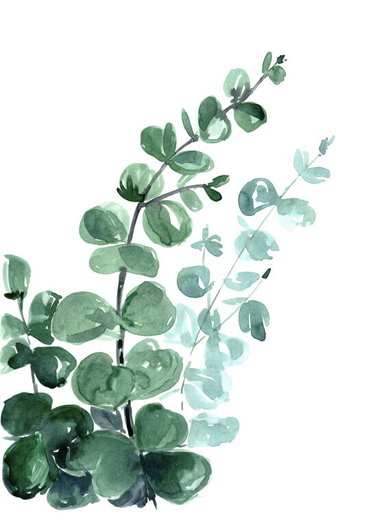 Blursbyai Plakát, Obraz - Watercolor eucalyptus bouquet, Blursbyai, 30 × 40 cm